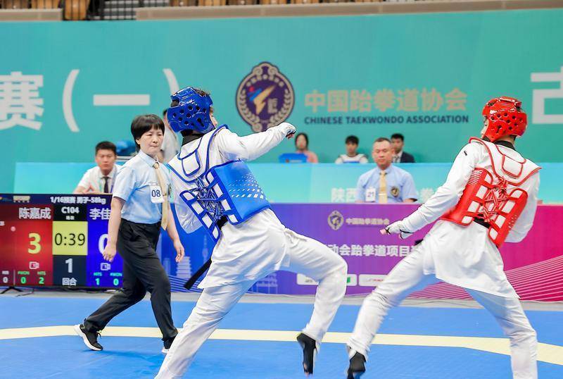 熊猫体育- 跆拳道半决赛上演强强对话，塞北猎隼队读秒扳平岭北银狐队，团队配合流畅；赛场纪律更严谨